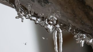 Фото из архива