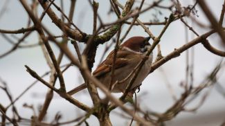 Фото из архива