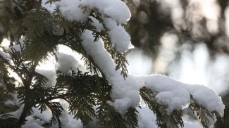 Фото из архива