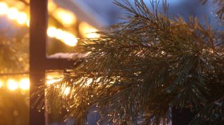 Фото из архива