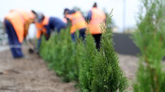 Фото из архива