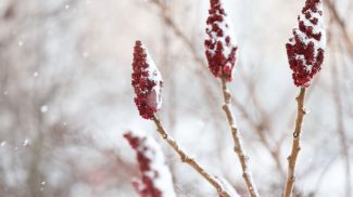 Фото из архива