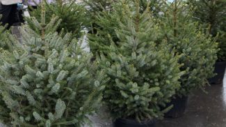 Фото из архива