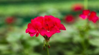 Фото из архива