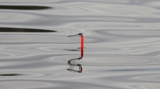 Фото из архива Фото из архива