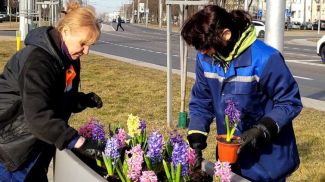 Фото Telegram-канала Брестского городского исполнительного комитета