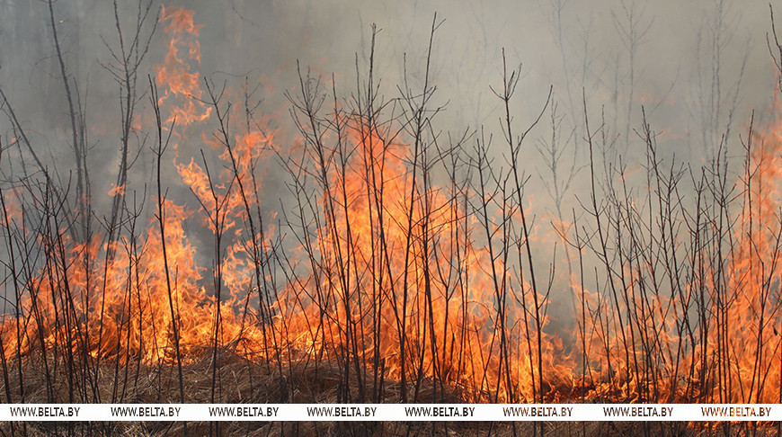 Фото из архива