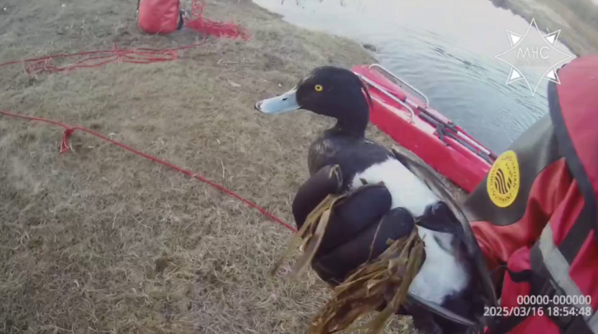 Скриншот видео МЧС