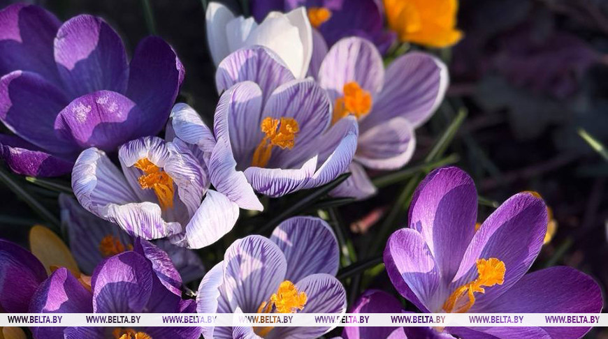 Фото из архива