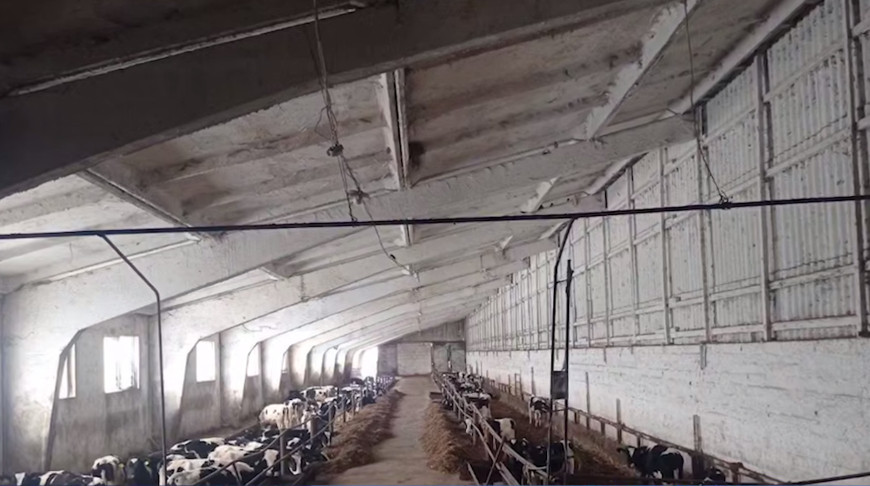 Скриншот видео МВД