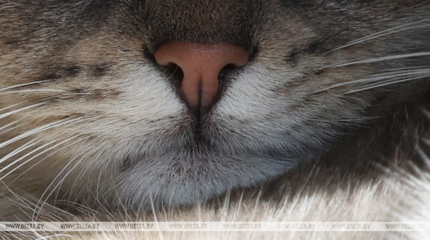 Фото из архива