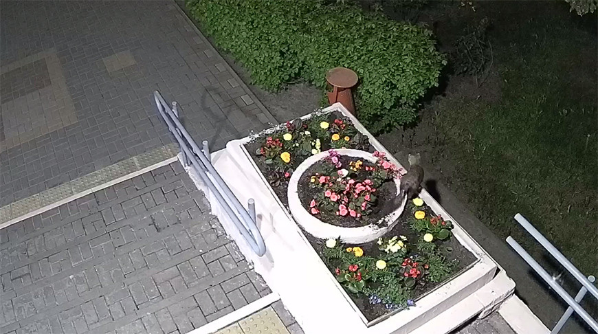 Скриншот видео Гомельского медколледжа