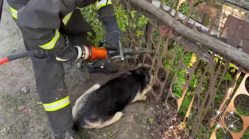 Скриншот видео МЧС