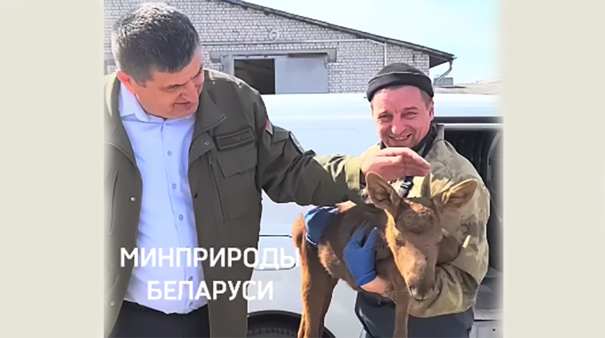 Скриншот видео Минприроды