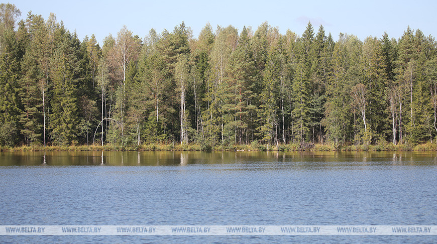 Фото из архива