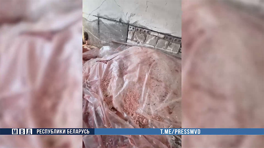 Скриншот видео МВД