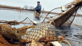 Фото УВД Брестской области