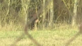 Скриншот видео ГУВД Мингорисполкома