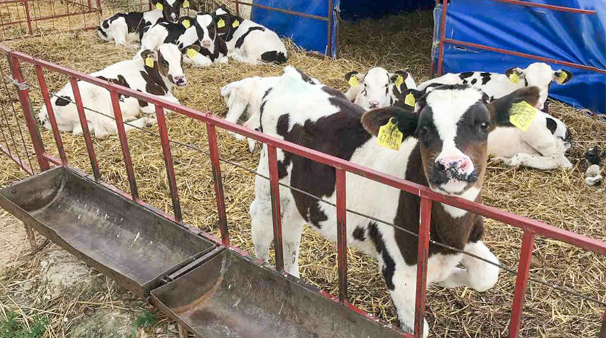 Фото Генпрокуратуры