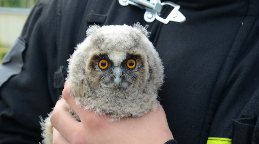 Фото Могилевского областного управления МЧС