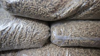 Фото из архива