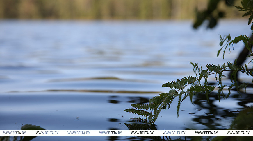 Фото из архива