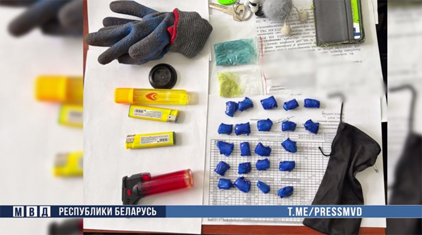 Скриншот видео МВД