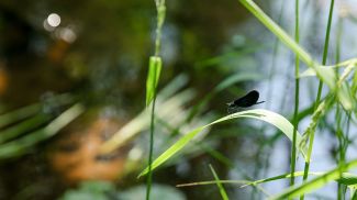 Фото из архива