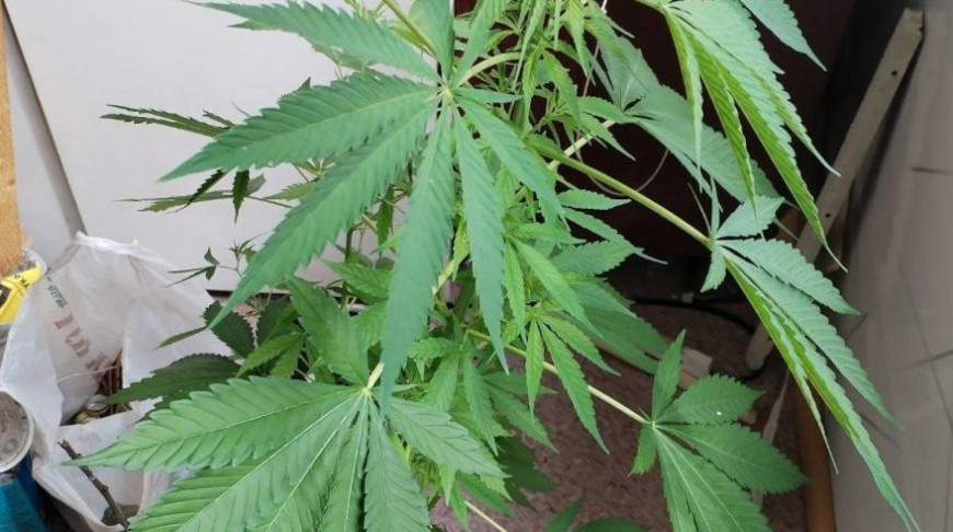 Фото УВД Гродненского облисполкома