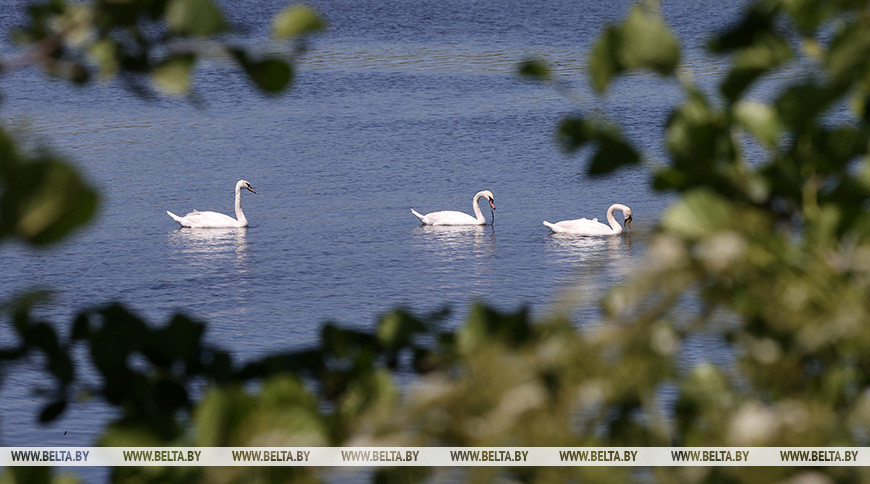 Фото из архива