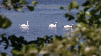 Фото из архива