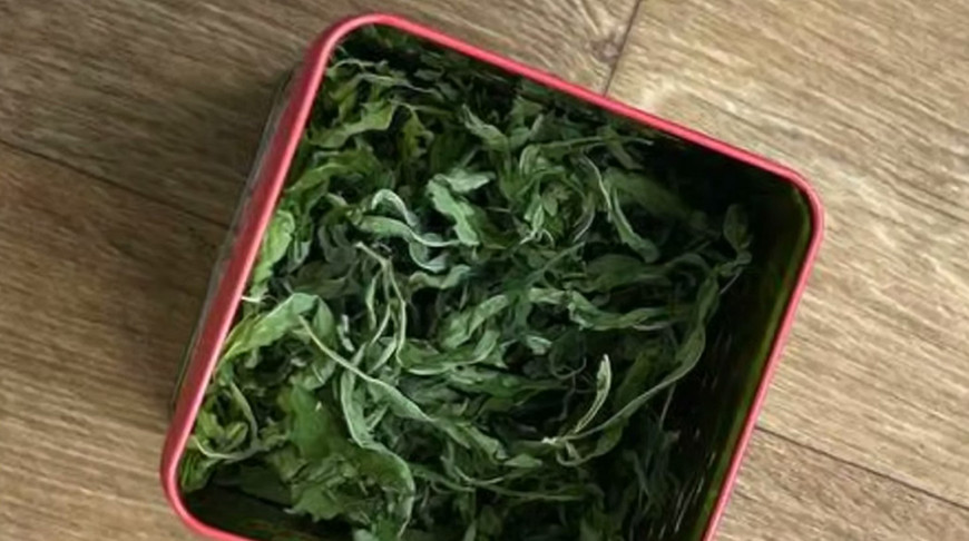 Фото ГУВД Мингорисполкома