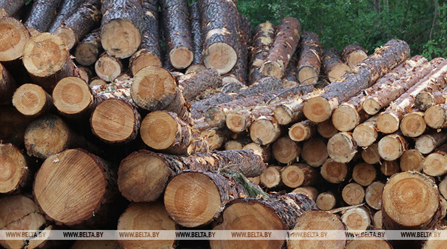 Фото из архива