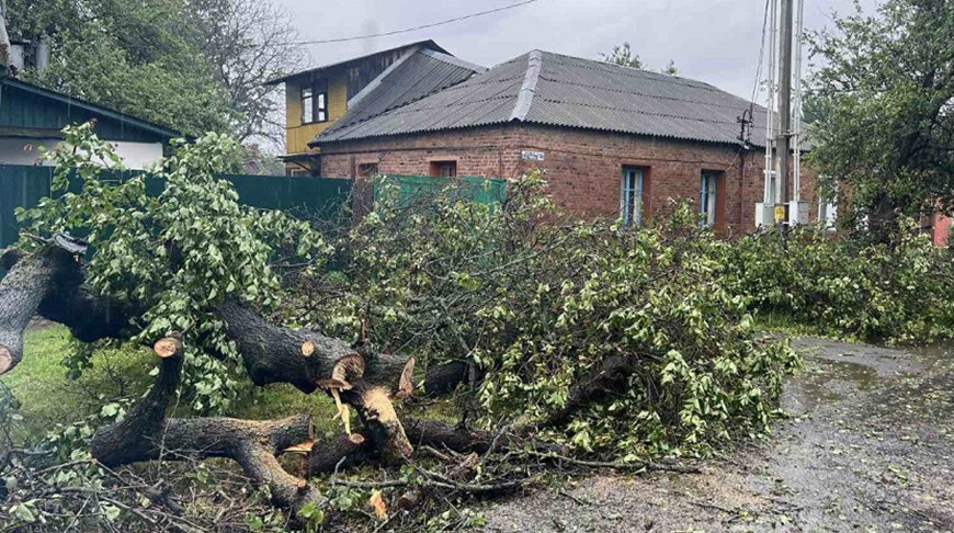 Фото Гомельского областного УМЧС