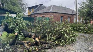 Фото Гомельского областного УМЧС Фото Гомельского областного УМЧС