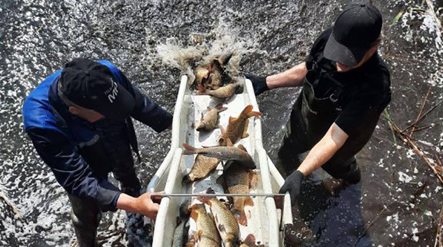 Фото Национального парка "Нарочанский"