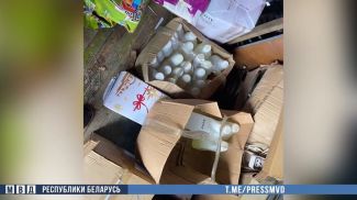 Скриншот видео МВД