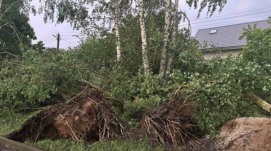 Фото РУП "Минскэнерго"