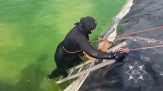 Скриншот видео МЧС Скриншот видео МЧС