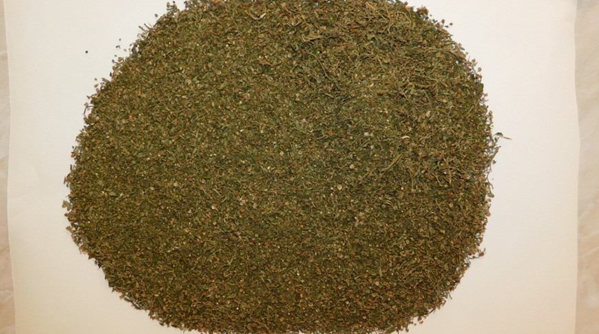 Фото УВД Брестского облисполкома