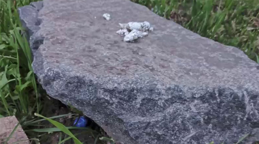 Скриншот видео МВД