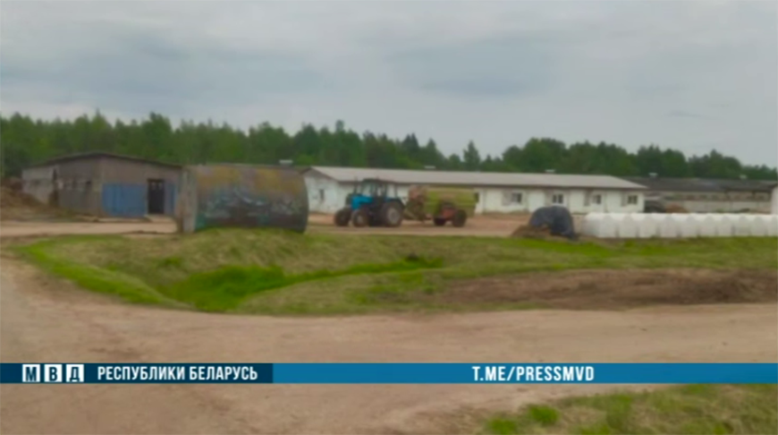 Скриншот видео МВД