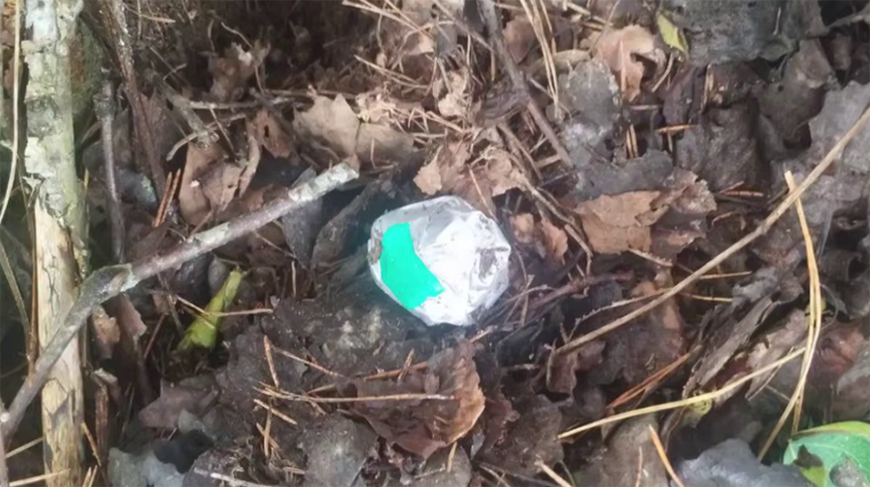 Скриншот видео УВД Могилевского облисполкома