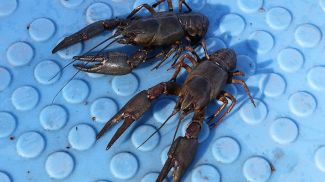 Фото из архива