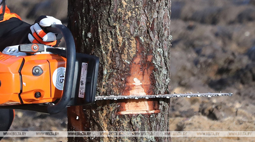 Фото из архива