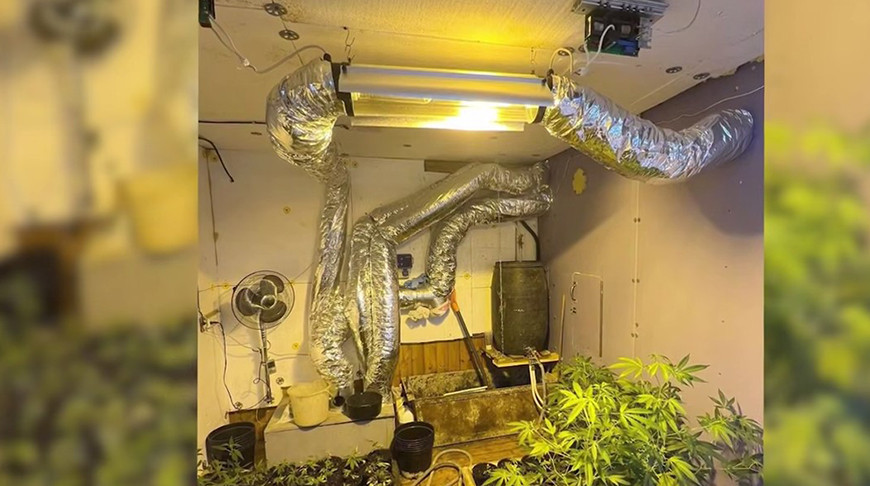 Скриншот видео МВД