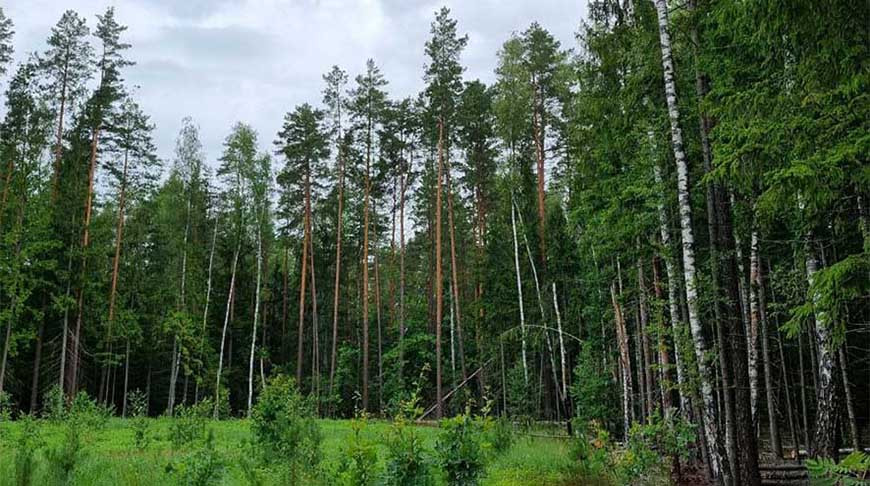 Фото Генпрокуратуры