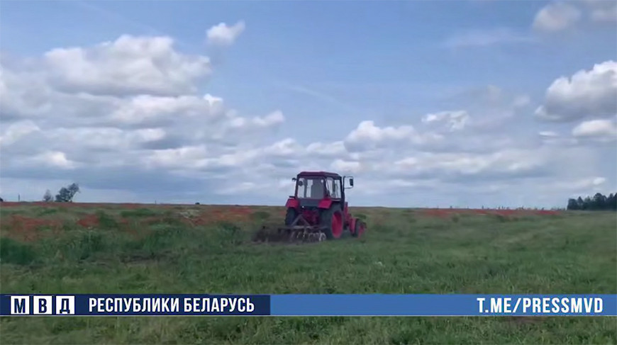 Скриншот видео МВД