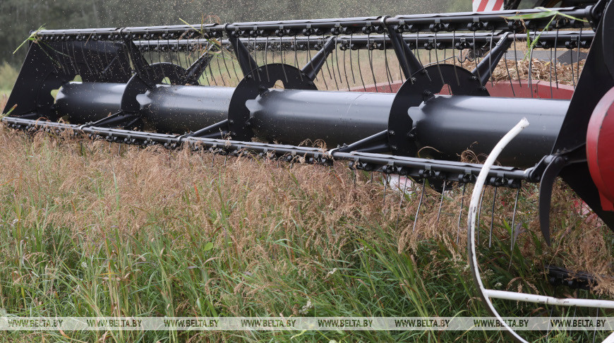 Фото из архива