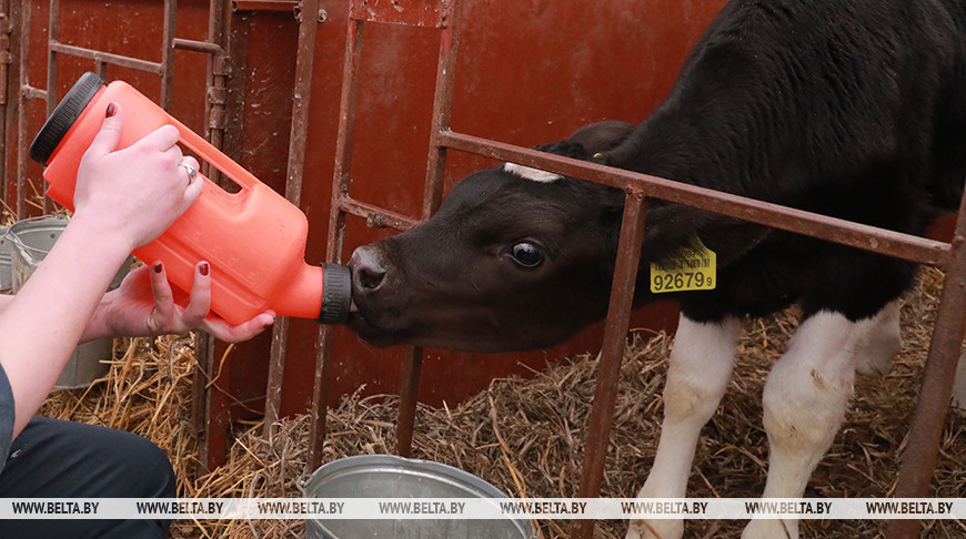 Фото из архива